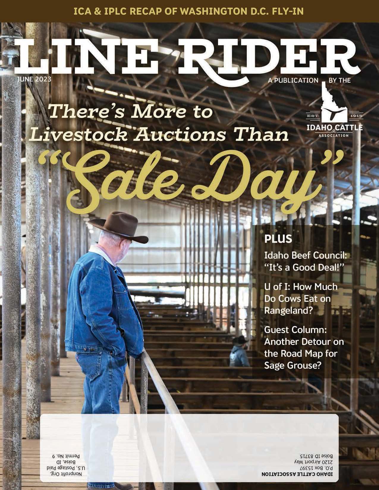 Line Rider Magazine