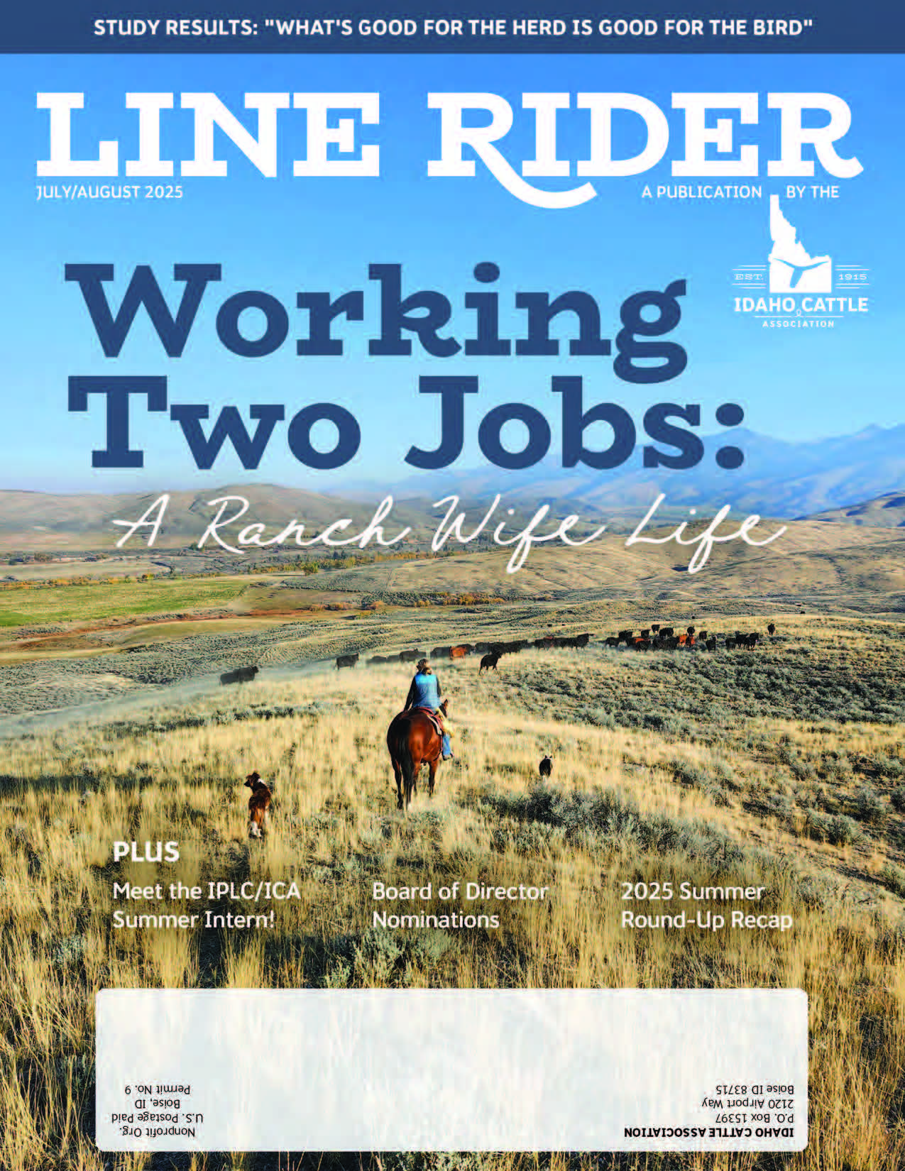Line Rider Magazine