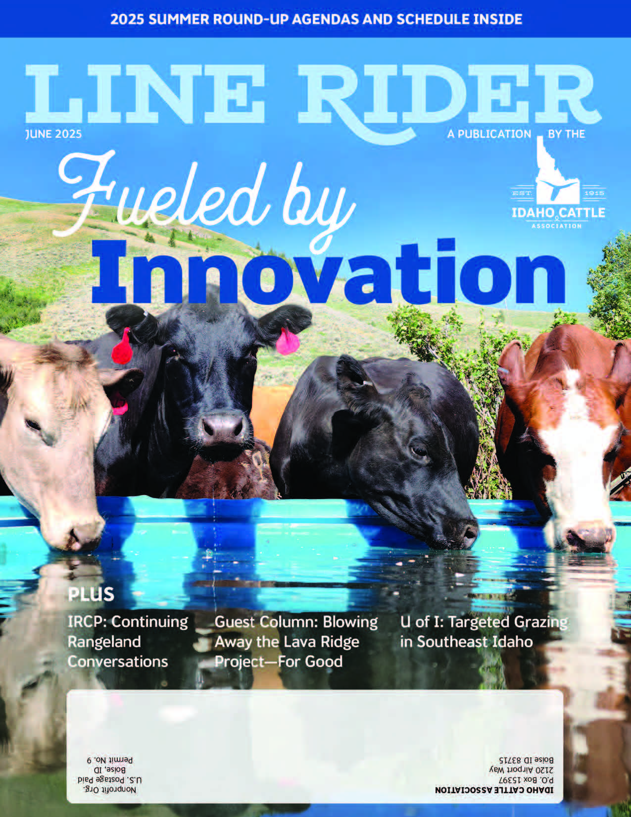 Line Rider Magazine