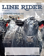 Line Rider Dec 2021