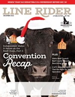 line rider december 22