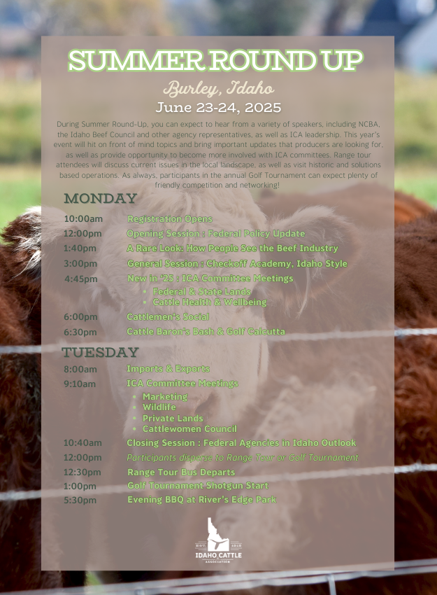 lite agenda_25