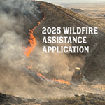 wildfire image